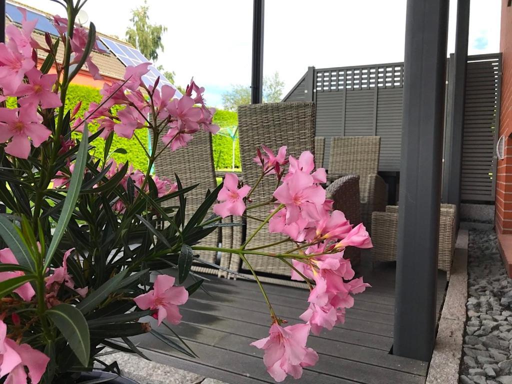 Appartamento Haus Im Gruenen Heringsdorf  Esterno foto